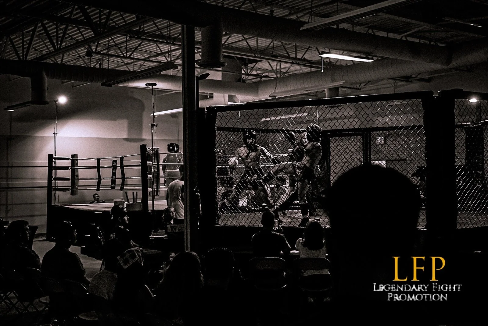 Legendary Fight Promotion Events | Muay Thai, Boxing & Kickboxing